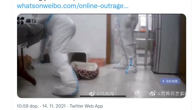 Protiepidemický tým v Číně zabil psa, jehož majitelka byla v karanténě